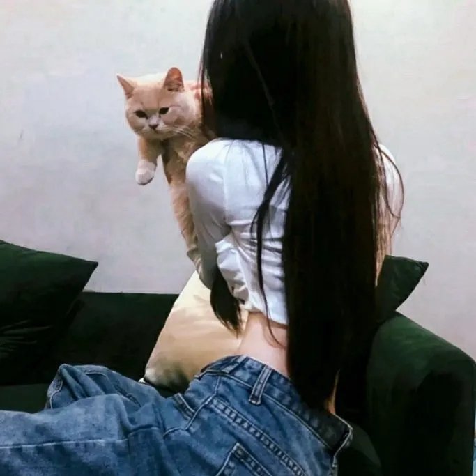 朱拜达